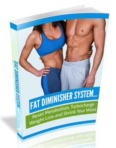 the fat diminisher